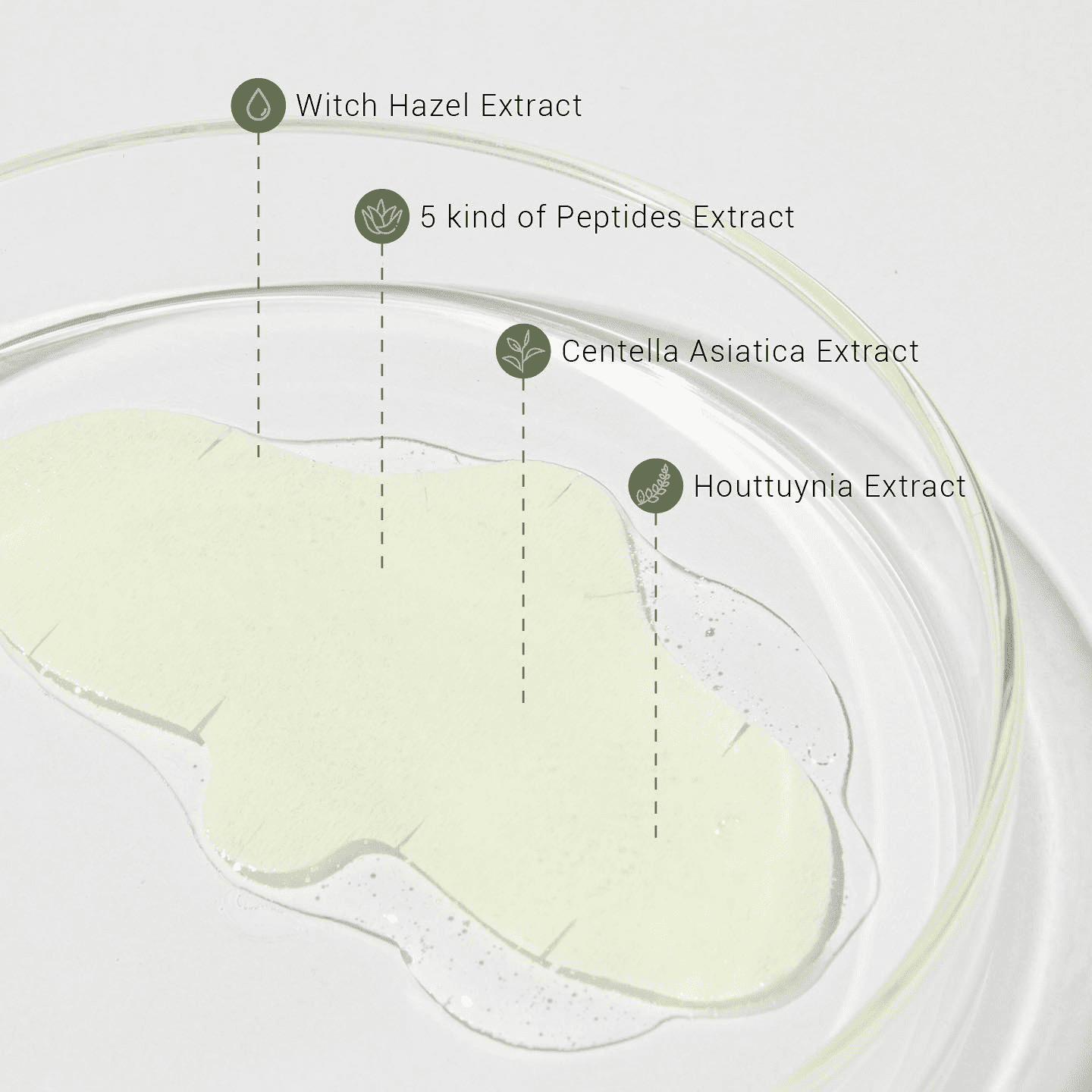 CICA AHA PHA Facial Toner Key Ingredients